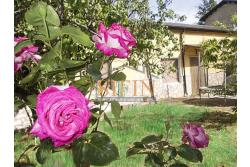 Due Case con giardino - Trevico (AV), alla via San Vito, in prossimit della chiesetta dell'omonimo Santo, proponiamo in vendita piccolo compendio immobiliare composto da due abitazione indipendenti contigue di complessivi mq. 206 oltre corte di mq. 300,00 ca.