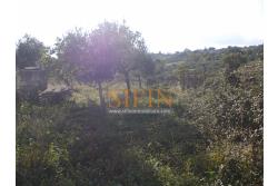 Villa con Giardino - Frigento (AV) lacalit Pagliara via Mattine, a soli 650 metri dal futuro svincolo della Contursi-Lioni-Grottaminarda, proponiamo in vendita villa di mq. 180,00 ca. oltre giardino