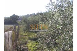 Villa con Giardino - Frigento (AV) lacalit Pagliara via Mattine, a soli 650 metri dal futuro svincolo della Contursi-Lioni-Grottaminarda, proponiamo in vendita villa di mq. 180,00 ca. oltre giardino