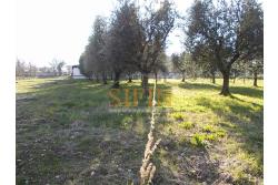 Casa con Terreno - Grottaminarda, via Fontanelle (SS91) in prima periferia, proponiamo in vendita fabbricato di mq. 145,00 oltre veranda di mq. 12,00 e balcone (portico) di mq. 11,00 con mq. 4.300,00 di terreno edificabile.