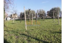 Casa con Terreno - Grottaminarda, via Fontanelle (SS91) in prima periferia, proponiamo in vendita fabbricato di mq. 145,00 oltre veranda di mq. 12,00 e balcone (portico) di mq. 11,00 con mq. 4.300,00 di terreno edificabile.