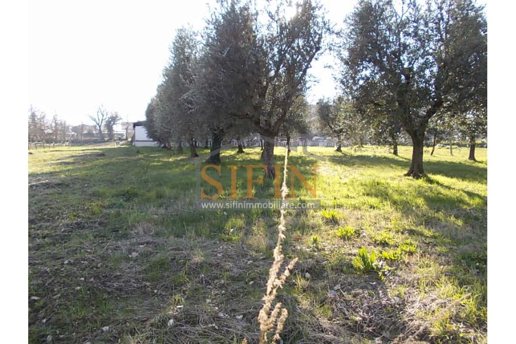 Casa con Terreno - Grottaminarda, via Fontanelle (SS91) in prima periferia, proponiamo in vendita fabbricato di mq. 145,00 oltre veranda di mq. 12,00 e balcone (portico) di mq. 11,00 con mq. 4.300,00 di terreno edificabile.