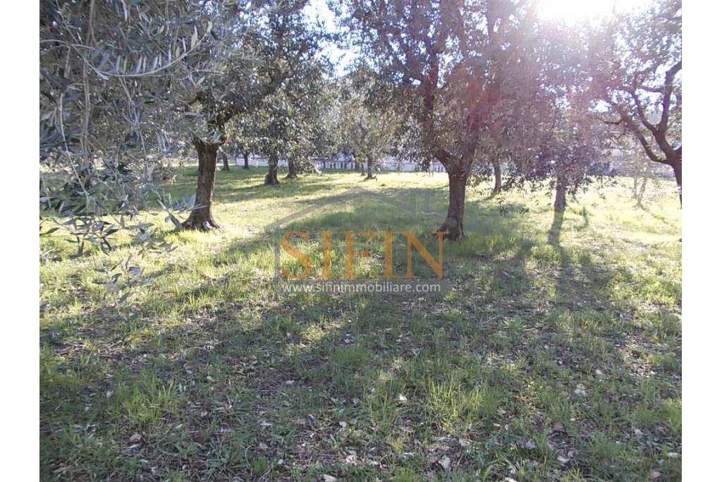 Casa con Terreno - Grottaminarda, via Fontanelle (SS91) in prima periferia, proponiamo in vendita fabbricato di mq. 145,00 oltre veranda di mq. 12,00 e balcone (portico) di mq. 11,00 con mq. 4.300,00 di terreno edificabile.