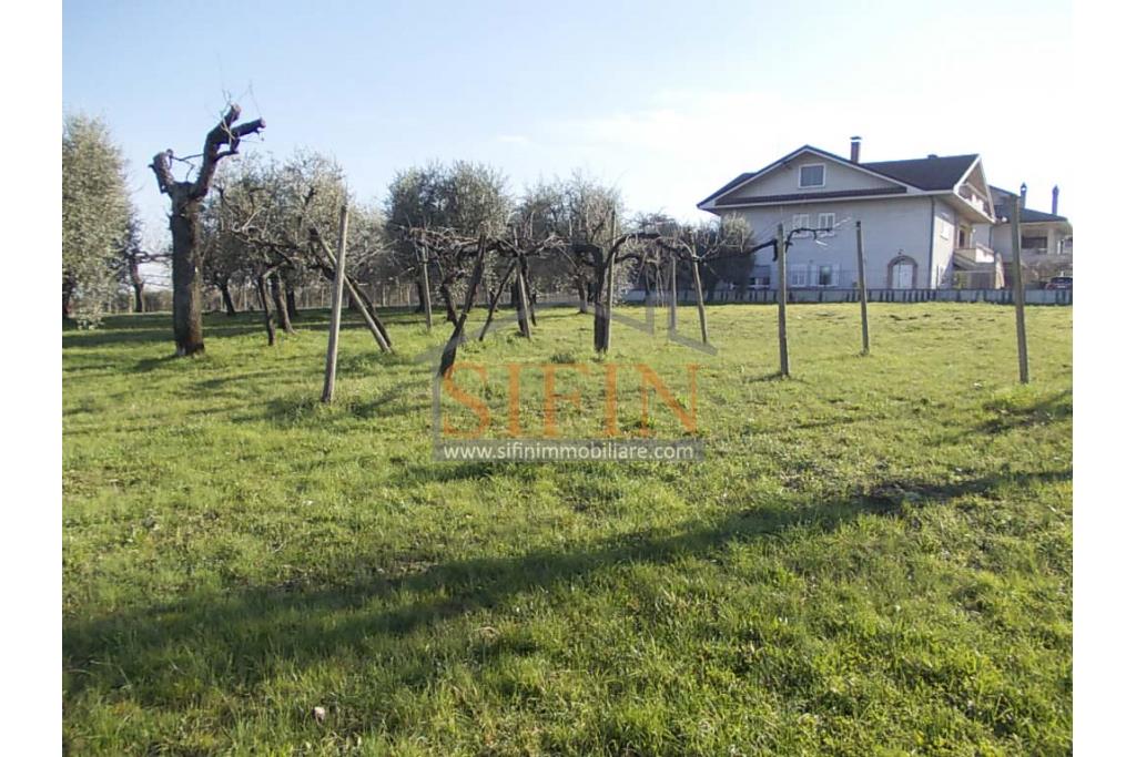 Casa con Terreno - Grottaminarda, via Fontanelle (SS91) in prima periferia, proponiamo in vendita fabbricato di mq. 145,00 oltre veranda di mq. 12,00 e balcone (portico) di mq. 11,00 con mq. 4.300,00 di terreno edificabile.