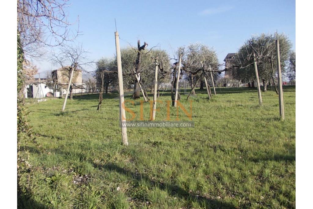 Casa con Terreno - Grottaminarda, via Fontanelle (SS91) in prima periferia, proponiamo in vendita fabbricato di mq. 145,00 oltre veranda di mq. 12,00 e balcone (portico) di mq. 11,00 con mq. 4.300,00 di terreno edificabile.
