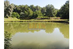 2 Laghi acquacoltura-pesca sportiva  - Proponiamo in locazione impianto di acquacoltura e pesca sportiva con due laghetti naturali con acqua sorgiva