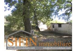 Casa con Terreno - Ariano Irpino vendita casa semi-indipendente con due ettari di terreno alla località Santa Maria a Tuoro, in prossimità del Santuario di San Liberatore