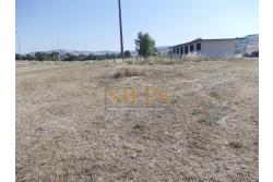 Terreno Edificabile - Grottaminarda - Flumeri (AV) Localit Tre Torri proponiamo in vendita terreno edificabile ad uso commerciale e/o artigianale di mq. 38.000,00 con capannone di mq. 500,00 disposto su due livelli (250+250) con alto indice di edificabilit.