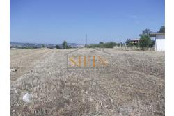 Terreno Edificabile - Grottaminarda - Flumeri (AV) Localit Tre Torri proponiamo in vendita terreno edificabile ad uso commerciale e/o artigianale di mq. 38.000,00 con capannone di mq. 500,00 disposto su due livelli (250+250) con alto indice di edificabilit.