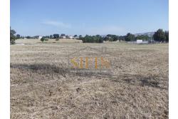 Terreno Edificabile - Grottaminarda - Flumeri (AV) Localit Tre Torri proponiamo in vendita terreno edificabile ad uso commerciale e/o artigianale di mq. 38.000,00 con capannone di mq. 500,00 disposto su due livelli (250+250) con alto indice di edificabilit.