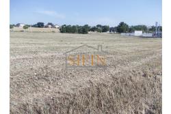 Terreno Edificabile - Grottaminarda - Flumeri (AV) Localit Tre Torri proponiamo in vendita terreno edificabile ad uso commerciale e/o artigianale di mq. 38.000,00 con capannone di mq. 500,00 disposto su due livelli (250+250) con alto indice di edificabilit.