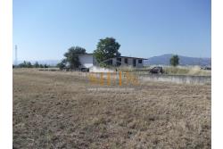 Terreno Edificabile - Grottaminarda - Flumeri (AV) Localit Tre Torri proponiamo in vendita terreno edificabile ad uso commerciale e/o artigianale di mq. 38.000,00 con capannone di mq. 500,00 disposto su due livelli (250+250) con alto indice di edificabilit.