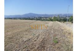 Terreno Edificabile - Grottaminarda - Flumeri (AV) Localit Tre Torri proponiamo in vendita terreno edificabile ad uso commerciale e/o artigianale di mq. 38.000,00 con capannone di mq. 500,00 disposto su due livelli (250+250) con alto indice di edificabilit.