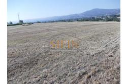 Terreno Edificabile - Grottaminarda - Flumeri (AV) Localit Tre Torri proponiamo in vendita terreno edificabile ad uso commerciale e/o artigianale di mq. 38.000,00 con capannone di mq. 500,00 disposto su due livelli (250+250) con alto indice di edificabilit.