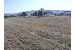Terreno Edificabile - Grottaminarda - Flumeri (AV) Localit Tre Torri proponiamo in vendita terreno edificabile ad uso commerciale e/o artigianale di mq. 38.000,00 con capannone di mq. 500,00 disposto su due livelli (250+250) con alto indice di edificabilit.