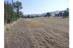Terreno Edificabile - Grottaminarda - Flumeri (AV) Localit Tre Torri proponiamo in vendita terreno edificabile ad uso commerciale e/o artigianale di mq. 38.000,00 con capannone di mq. 500,00 disposto su due livelli (250+250) con alto indice di edificabilit.