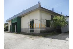 Capannone con terreno - capannone in cemento armato di mq. 700,00 (ml. 40,00 x 17,50) con mq. 8.000,00 ca. di terreno limitrofo di cui mq. 2.000,00 ca. gia pavimentati 