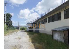 Capannone con terreno - capannone in cemento armato di mq. 700,00 (ml. 40,00 x 17,50) con mq. 8.000,00 ca. di terreno limitrofo di cui mq. 2.000,00 ca. gia pavimentati 