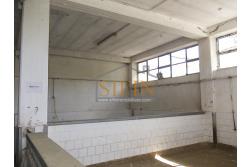 Capannone con terreno - capannone in cemento armato di mq. 700,00 (ml. 40,00 x 17,50) con mq. 8.000,00 ca. di terreno limitrofo di cui mq. 2.000,00 ca. gia pavimentati 