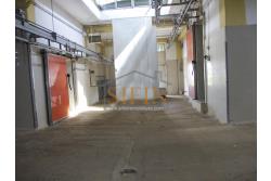 Capannone con terreno - capannone in cemento armato di mq. 700,00 (ml. 40,00 x 17,50) con mq. 8.000,00 ca. di terreno limitrofo di cui mq. 2.000,00 ca. gia pavimentati 