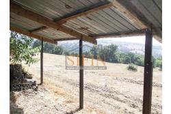 Villa con Terreno - villetta di complessivi mq. 280,00 ca. oltre a deposi per ulteriori mq. 150,00 il tutto circondato da oltre quattro ettari di terreno (mq. 45.000,00) sufficienti per impiantare un azieda agricola.