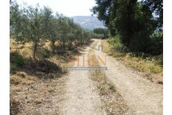 Villa con Terreno - villetta di complessivi mq. 280,00 ca. oltre a deposi per ulteriori mq. 150,00 il tutto circondato da oltre quattro ettari di terreno (mq. 45.000,00) sufficienti per impiantare un azieda agricola.