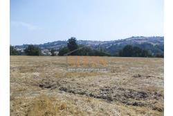 Villa con Terreno - villetta di complessivi mq. 280,00 ca. oltre a deposi per ulteriori mq. 150,00 il tutto circondato da oltre quattro ettari di terreno (mq. 45.000,00) sufficienti per impiantare un azieda agricola.
