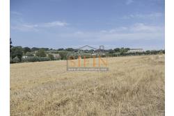 Villa con Terreno - villetta di complessivi mq. 280,00 ca. oltre a deposi per ulteriori mq. 150,00 il tutto circondato da oltre quattro ettari di terreno (mq. 45.000,00) sufficienti per impiantare un azieda agricola.