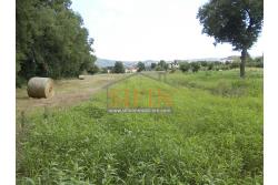 Casa con terreno - Grottaminarda (AV) proponiamo in vendita compendio immobiliare composto da: due fabbricati di cui il primo di mq. 200,00 ca. costruito negli anni '90 ed il secondo fabbricato di mq. 100,00 risalente al 1962.