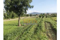 Casa con terreno - Grottaminarda (AV) proponiamo in vendita compendio immobiliare composto da: due fabbricati di cui il primo di mq. 200,00 ca. costruito negli anni '90 ed il secondo fabbricato di mq. 100,00 risalente al 1962.
