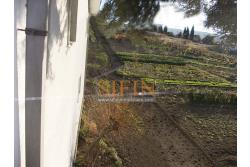 Casa con terreno - Grottaminarda (AV) proponiamo in vendita compendio immobiliare composto da: due fabbricati di cui il primo di mq. 200,00 ca. costruito negli anni '90 ed il secondo fabbricato di mq. 100,00 risalente al 1962.