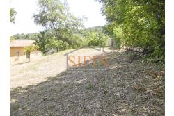 Casa con Terreno - San Sossio Baronia (AV), C/da Fabbricata, a soli 1,2km dal Piazza Mercato, proponiamo in vendita graziosa casetta di mq. 60,00 ca. oltre garage di mq. 25,00 ca. immersa nel verde e circondata da siepe di lauroceraso oltre a mq. 700,00 di giardino terrazzato ed ulteriori mq. 7.000,00 ca. di terreno