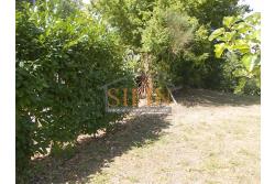 Casa con Terreno - San Sossio Baronia (AV), C/da Fabbricata, a soli 1,2km dal Piazza Mercato, proponiamo in vendita graziosa casetta di mq. 60,00 ca. oltre garage di mq. 25,00 ca. immersa nel verde e circondata da siepe di lauroceraso oltre a mq. 700,00 di giardino terrazzato ed ulteriori mq. 7.000,00 ca. di terreno