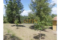Casa con Terreno - San Sossio Baronia (AV), C/da Fabbricata, a soli 1,2km dal Piazza Mercato, proponiamo in vendita graziosa casetta di mq. 60,00 ca. oltre garage di mq. 25,00 ca. immersa nel verde e circondata da siepe di lauroceraso oltre a mq. 700,00 di giardino terrazzato ed ulteriori mq. 7.000,00 ca. di terreno