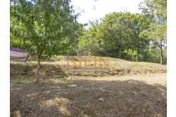 Casa con Terreno - San Sossio Baronia (AV), C/da Fabbricata, a soli 1,2km dal Piazza Mercato, proponiamo in vendita graziosa casetta di mq. 60,00 ca. oltre garage di mq. 25,00 ca. immersa nel verde e circondata da siepe di lauroceraso oltre a mq. 700,00 di giardino terrazzato ed ulteriori mq. 7.000,00 ca. di terreno