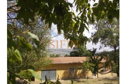 Casa con Terreno - San Sossio Baronia (AV), C/da Fabbricata, a soli 1,2km dal Piazza Mercato, proponiamo in vendita graziosa casetta di mq. 60,00 ca. oltre garage di mq. 25,00 ca. immersa nel verde e circondata da siepe di lauroceraso oltre a mq. 700,00 di giardino terrazzato ed ulteriori mq. 7.000,00 ca. di terreno