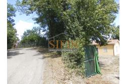 Casa con Terreno - San Sossio Baronia (AV), C/da Fabbricata, a soli 1,2km dal Piazza Mercato, proponiamo in vendita graziosa casetta di mq. 60,00 ca. oltre garage di mq. 25,00 ca. immersa nel verde e circondata da siepe di lauroceraso oltre a mq. 700,00 di giardino terrazzato ed ulteriori mq. 7.000,00 ca. di terreno