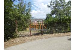 Casa con Terreno - San Sossio Baronia (AV), C/da Fabbricata, a soli 1,2km dal Piazza Mercato, proponiamo in vendita graziosa casetta di mq. 60,00 ca. oltre garage di mq. 25,00 ca. immersa nel verde e circondata da siepe di lauroceraso oltre a mq. 700,00 di giardino terrazzato ed ulteriori mq. 7.000,00 ca. di terreno