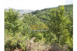 Casa con Terreno - San Sossio Baronia (AV), C/da Fabbricata, a soli 1,2km dal Piazza Mercato, proponiamo in vendita graziosa casetta di mq. 60,00 ca. oltre garage di mq. 25,00 ca. immersa nel verde e circondata da siepe di lauroceraso oltre a mq. 700,00 di giardino terrazzato ed ulteriori mq. 7.000,00 ca. di terreno
