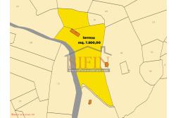 Casa con Terreno - San Sossio Baronia (AV), C/da Fabbricata, a soli 1,2km dal Piazza Mercato, proponiamo in vendita graziosa casetta di mq. 60,00 ca. oltre garage di mq. 25,00 ca. immersa nel verde e circondata da siepe di lauroceraso oltre a mq. 700,00 di giardino terrazzato ed ulteriori mq. 7.000,00 ca. di terreno