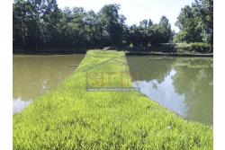 2 Laghi acquacoltura-pesca sportiva  - Proponiamo in locazione impianto di acquacoltura e pesca sportiva con due laghetti naturali con acqua sorgiva