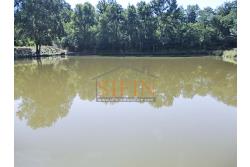 2 Laghi acquacoltura-pesca sportiva  - Proponiamo in locazione impianto di acquacoltura e pesca sportiva con due laghetti naturali con acqua sorgiva