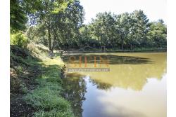 2 Laghi acquacoltura-pesca sportiva  - Proponiamo in locazione impianto di acquacoltura e pesca sportiva con due laghetti naturali con acqua sorgiva