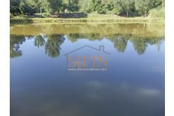 2 Laghi acquacoltura-pesca sportiva  - Proponiamo in locazione impianto di acquacoltura e pesca sportiva con due laghetti naturali con acqua sorgiva