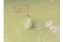 2 Laghi acquacoltura-pesca sportiva  - Proponiamo in locazione impianto di acquacoltura e pesca sportiva con due laghetti naturali con acqua sorgiva