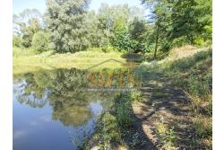 2 Laghi acquacoltura-pesca sportiva  - Proponiamo in locazione impianto di acquacoltura e pesca sportiva con due laghetti naturali con acqua sorgiva