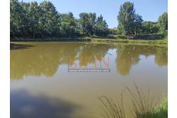 2 Laghi acquacoltura-pesca sportiva  - Proponiamo in locazione impianto di acquacoltura e pesca sportiva con due laghetti naturali con acqua sorgiva