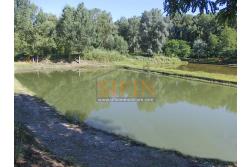 2 Laghi acquacoltura-pesca sportiva  - Proponiamo in locazione impianto di acquacoltura e pesca sportiva con due laghetti naturali con acqua sorgiva