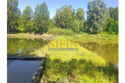 2 Laghi acquacoltura-pesca sportiva  - Proponiamo in locazione impianto di acquacoltura e pesca sportiva con due laghetti naturali con acqua sorgiva