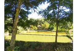 2 Laghi acquacoltura-pesca sportiva  - Proponiamo in locazione impianto di acquacoltura e pesca sportiva con due laghetti naturali con acqua sorgiva